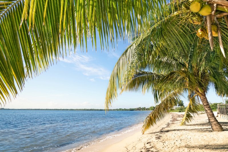 Playa Larga Beach Cuba-Exclusivo